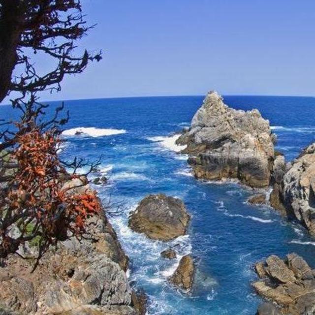 New hiking boots for Point Lobos State Natural Reserve