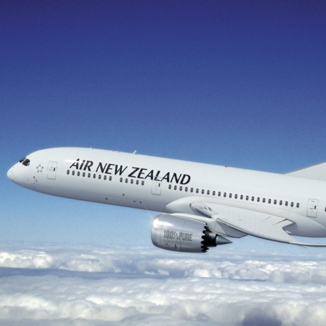 Fund for our Lonnnng Flights to/from New Zealand!!!