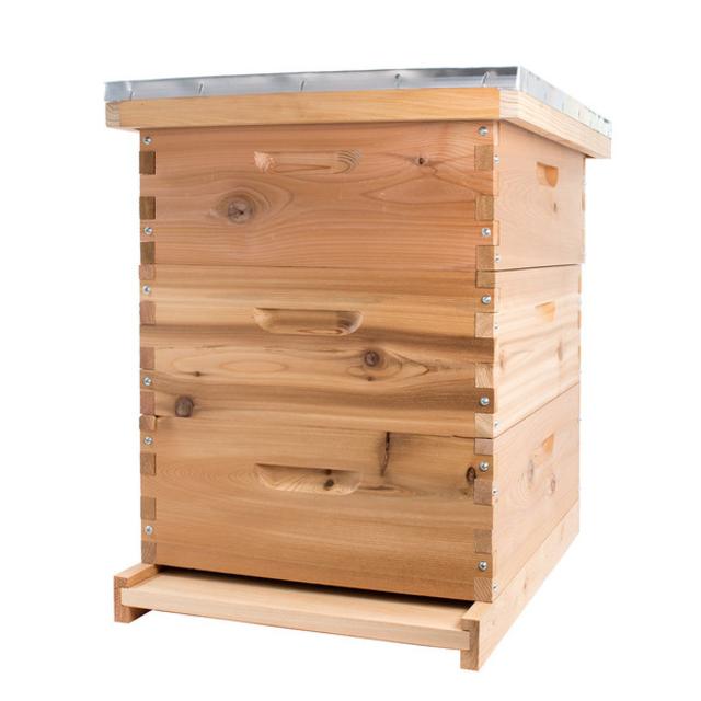 Cedar Beehive Kit (Medium)