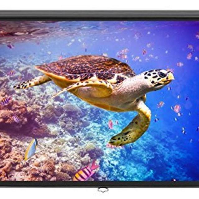 100-inch Widescreen Projector Screen - Home Theater