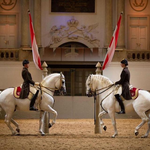Spanish Riding School Performance