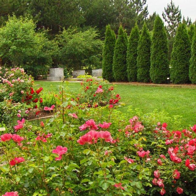 Our Friends and Family Garden