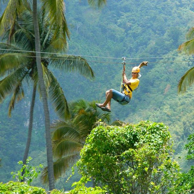 Zip-lining Excursion on Honeymoon!