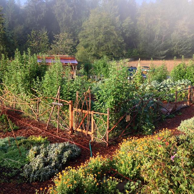 Our Vegetable & Herb Garden Fund