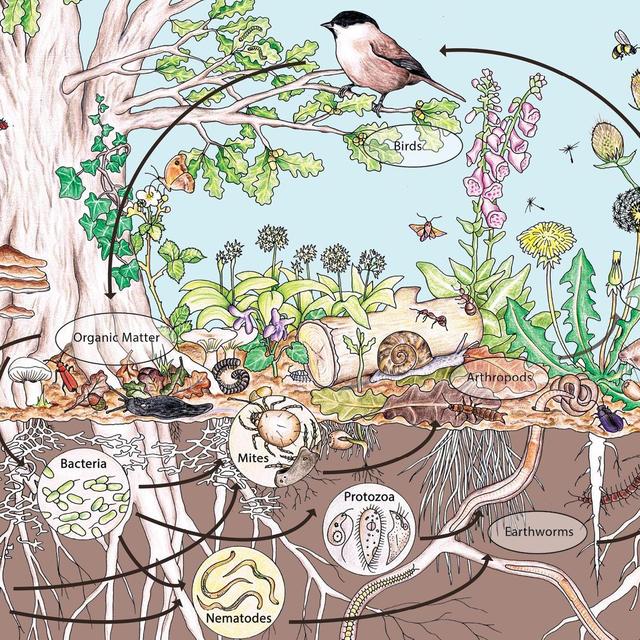 Permaculture Course