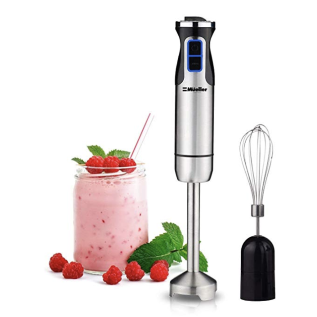 Immersion Blender
