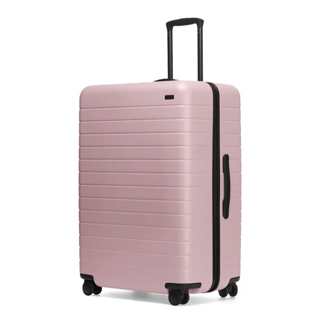 Away Checked Bag (for Marilyn)