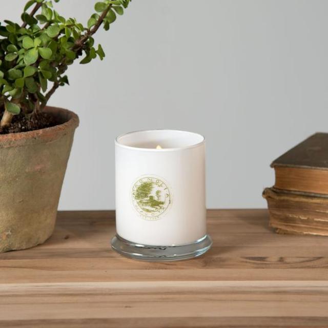Magnolia Garden Candle