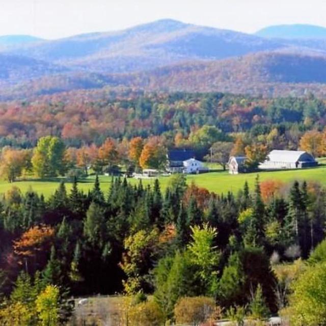 Per Person - 2 Nights Camping @ The Venue