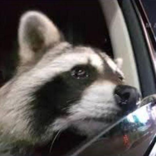Uber
