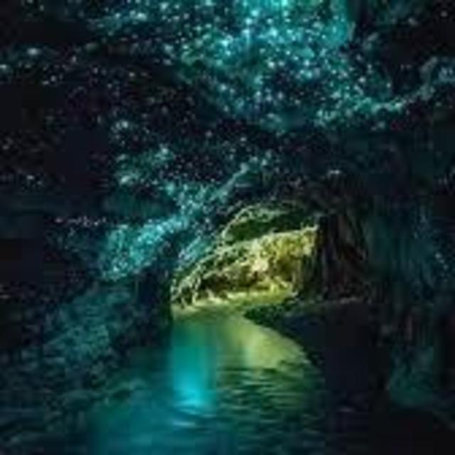 Glow Worm Caves Tour