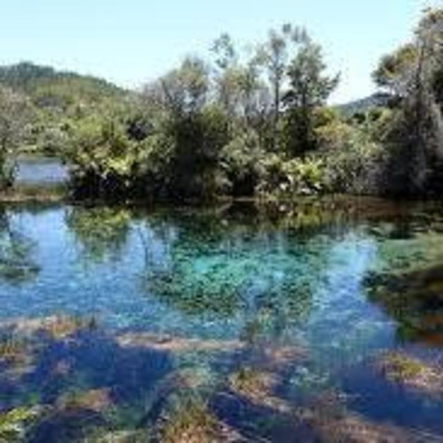 Te Waikoropupu Springs