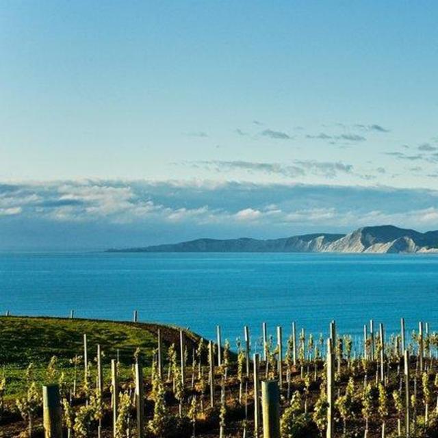 Marlborough Wine Tour