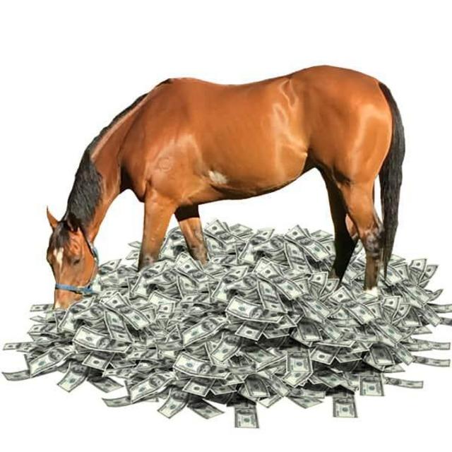Horse (Horse girls are easy to love. They are just hard to afford haha)