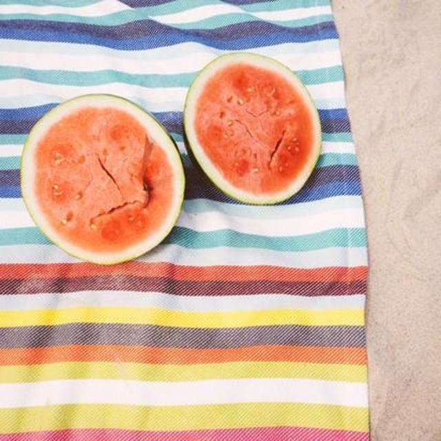 Honeymoon Picnic