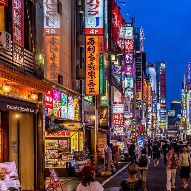 Honeymoon Trip to Japan!