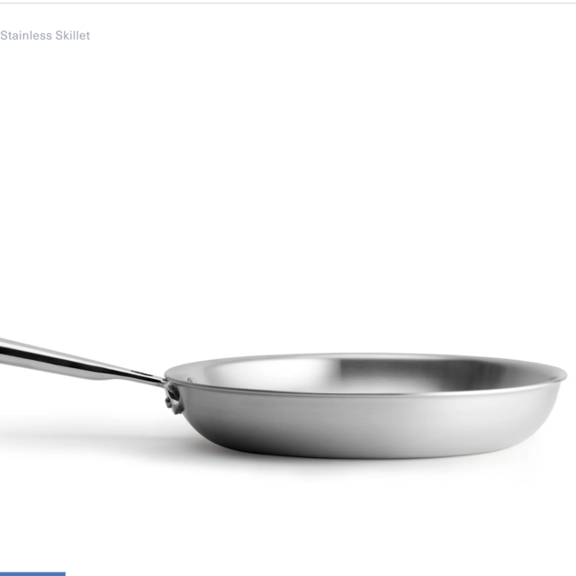 Stainless Skillet