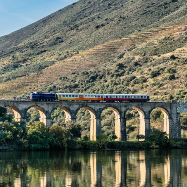 Rental Car/Train Costs