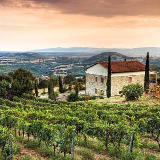 Tuscany Cooking Class and Wine Tasting