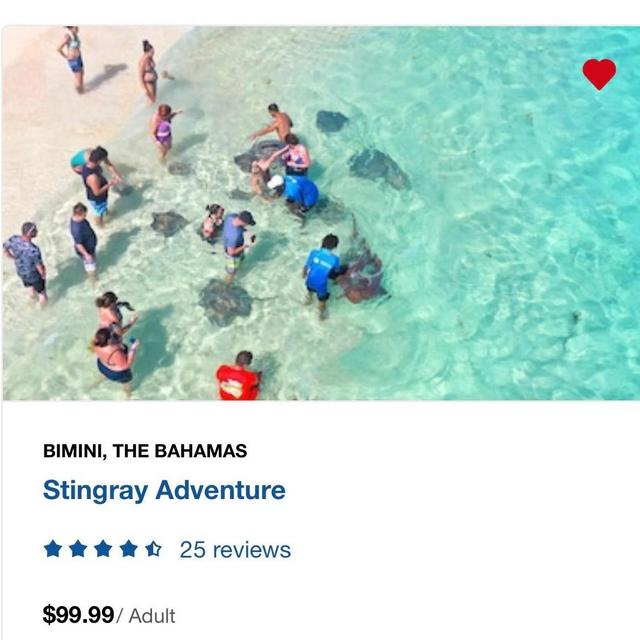 Bimini, Bahamas Excursion - Sting Ray Adventure
