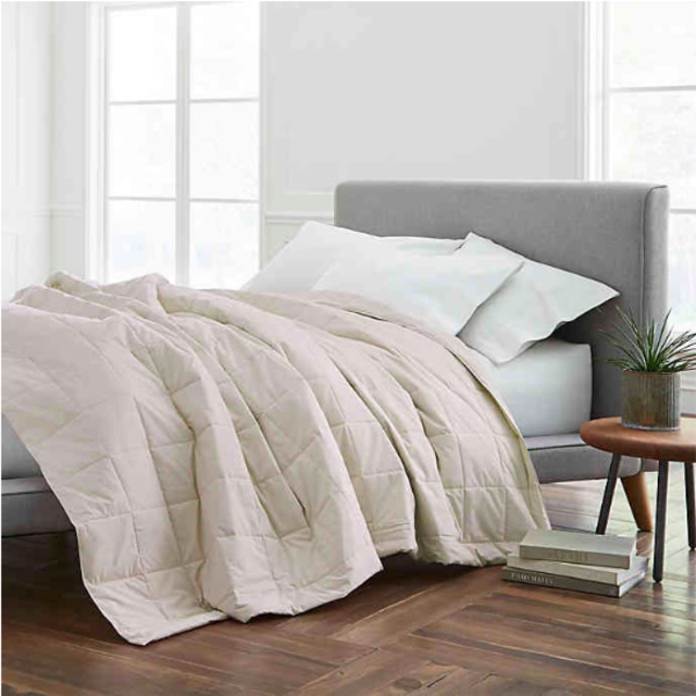 EcoPure® Cotton-Filled Reversible Twin Blanket in Creme
