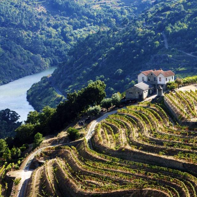 Winery tour in Portugal