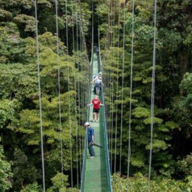 Sky Tram, Sky Trek, Sky Walk