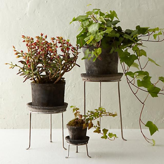 Silver Footed Tall Plant Stand, 4-8"