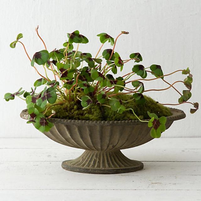 Aged Iron Pedestal Bowl, 14"