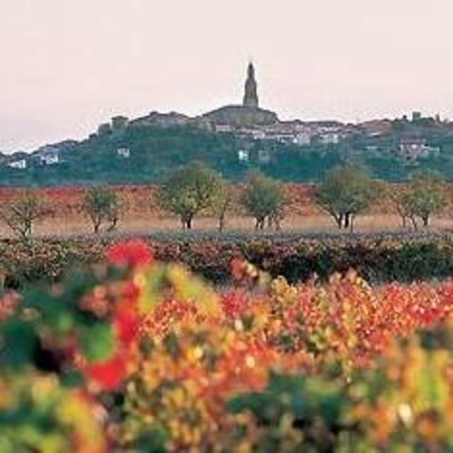 Trip to Rioja (wine country)