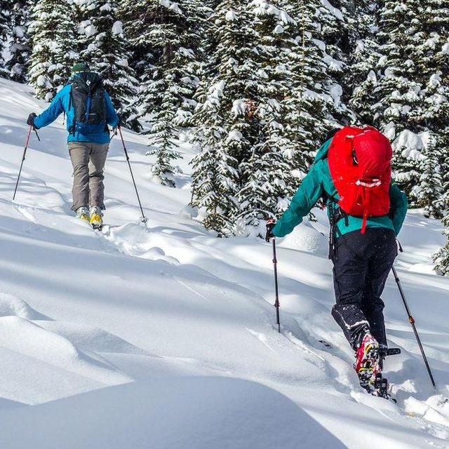 Ellen's Backcountry Ski Set-up