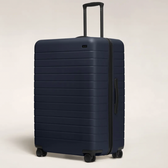 The Large Suitcase