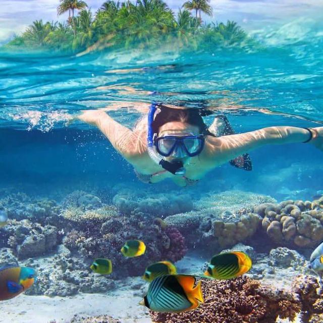 Snorkeling in Kauai