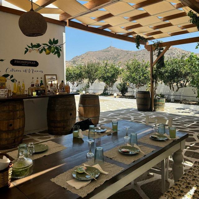 Citron Tasting and Distillery Tour in Naxos, Greece