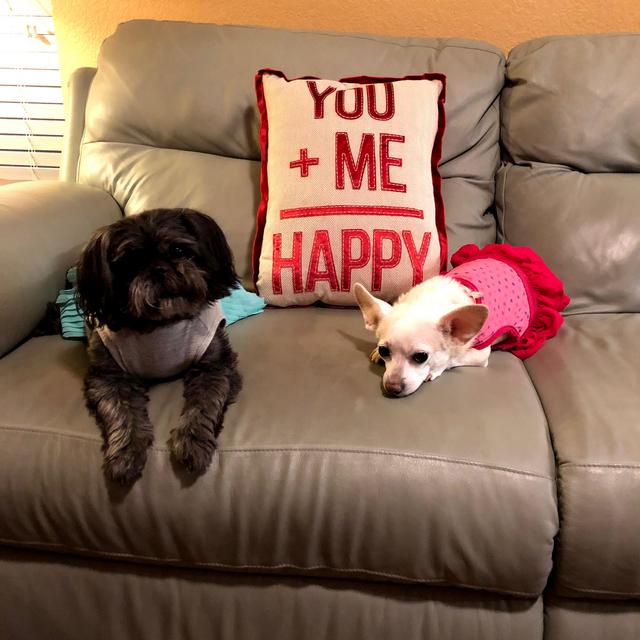 Furry Family Fund
