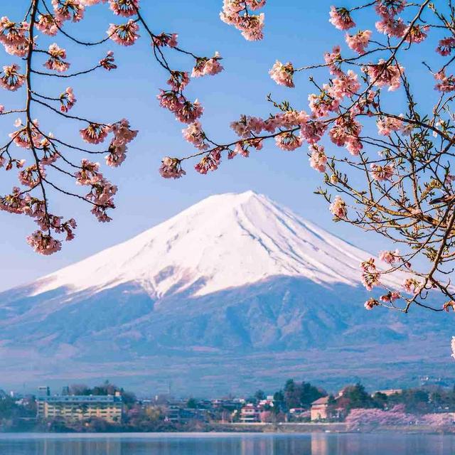 🇯🇵 Our Honeymoon Fund (Venmo)