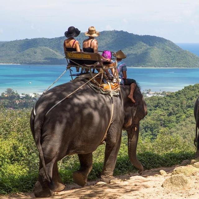 Elephant Safari