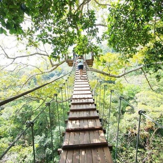 Zipline Adventure