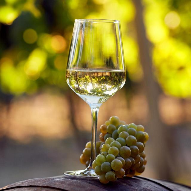 Honeymoon: Buy the bride a glass of wine (or three!)