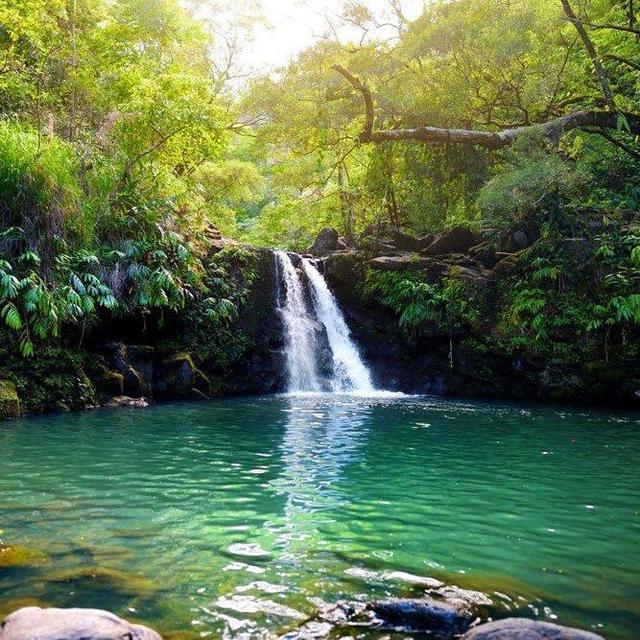 Honeymoon - Road to Hana Excursion
