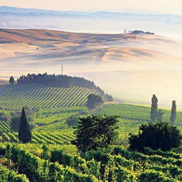 Tasting: Gattavecchi Winery, Tuscany