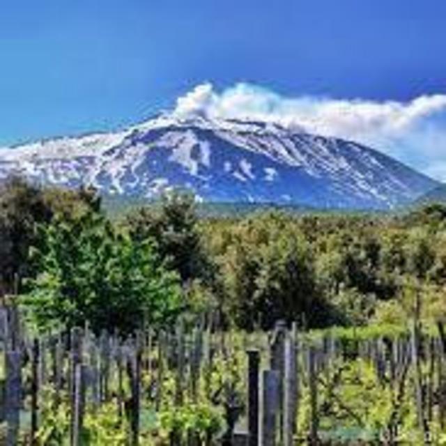 Mt. Etna (Sicily) Wine Tour
