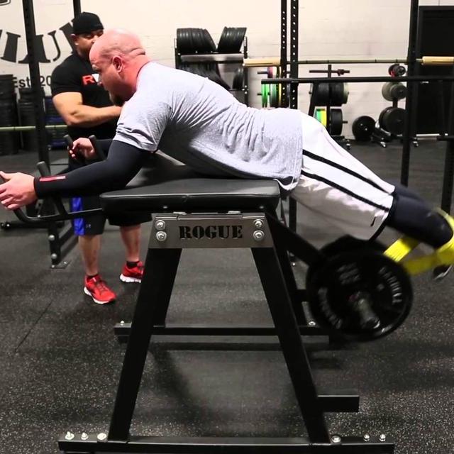 RH-2 Rogue Reverse Hyper