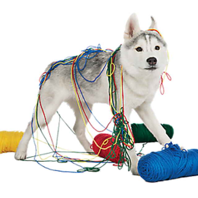 Toys"R"Us® Tunnel Pop Up Cat Toy