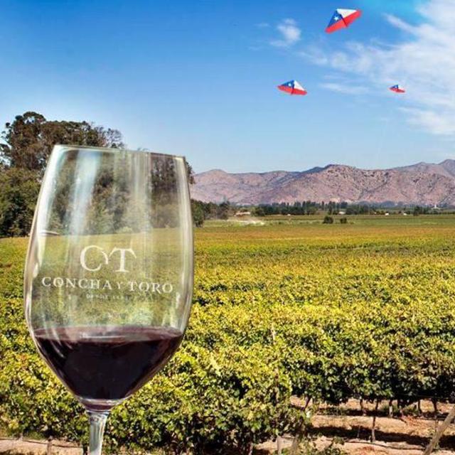 Honeymoon Vineyard Tours in Chile
