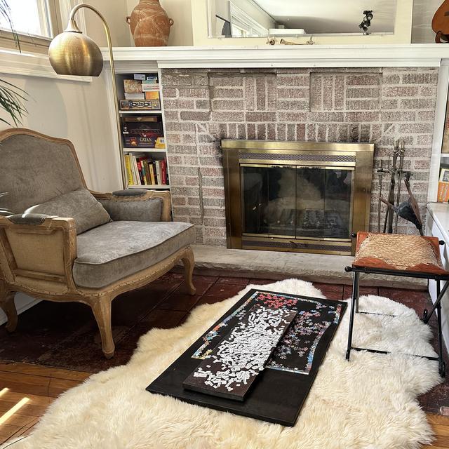 Fireplace Inspection!