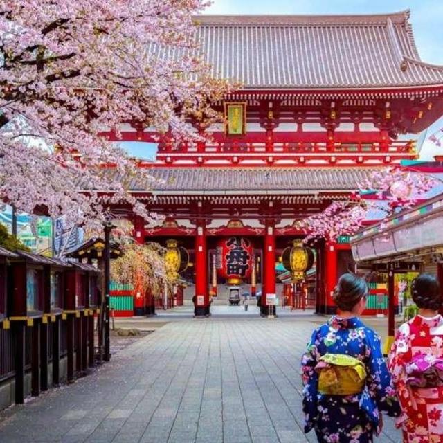 Tokyo Private Tour