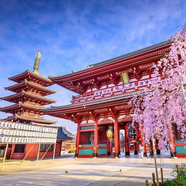 Japan Honeymoon Fund