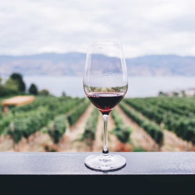 Vineyard Tour & Tasting