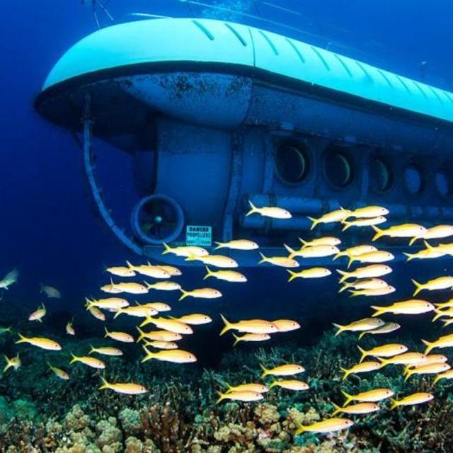 Honeymoon Fund- Submarine Tours!